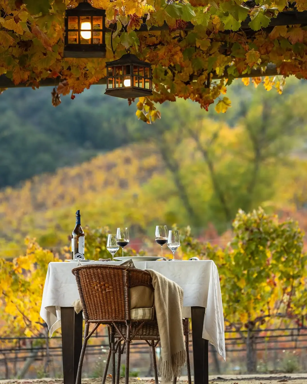 Montes & Clos Apalta - Vale de Colchagua