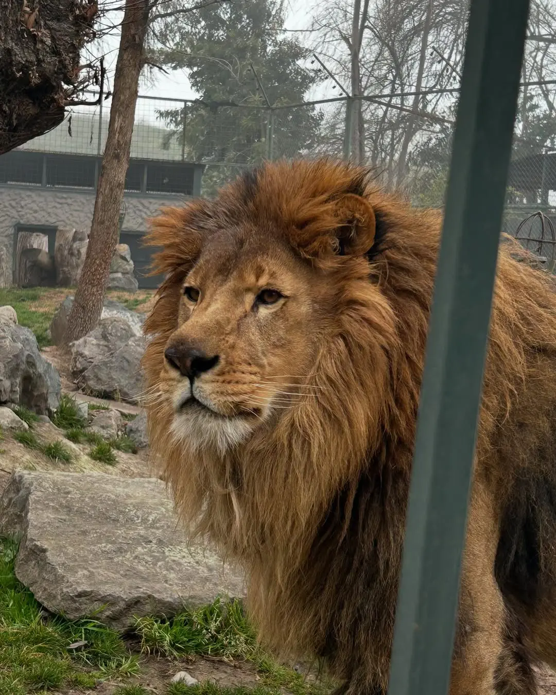 Parque Safari